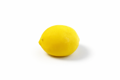 Zitronen Dessert – Realistisches Luxus Frucht Dessert (120g) | Maison de Patifruits